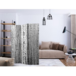 Paris Prix Paravent 3 Volets "Birch Forest" 135x172cm