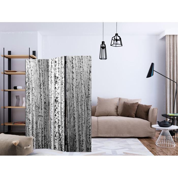 Paris Prix Paravent 3 Volets "Birch Forest" 135x172cm