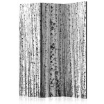 paris prix Paravent 3 Volets "Birch Forest" 135x172cm