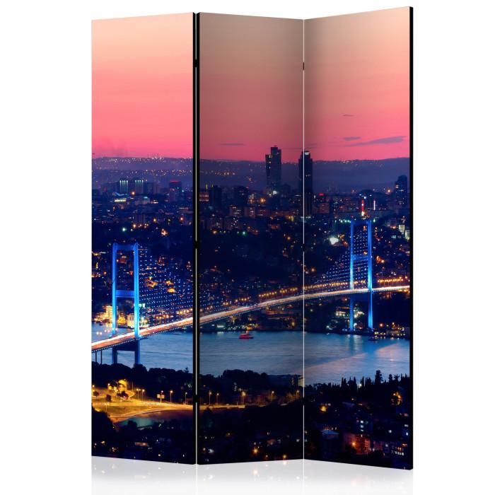 Paris Prix Paravent 3 Volets "Bosphorus Bridge" 135x172cm