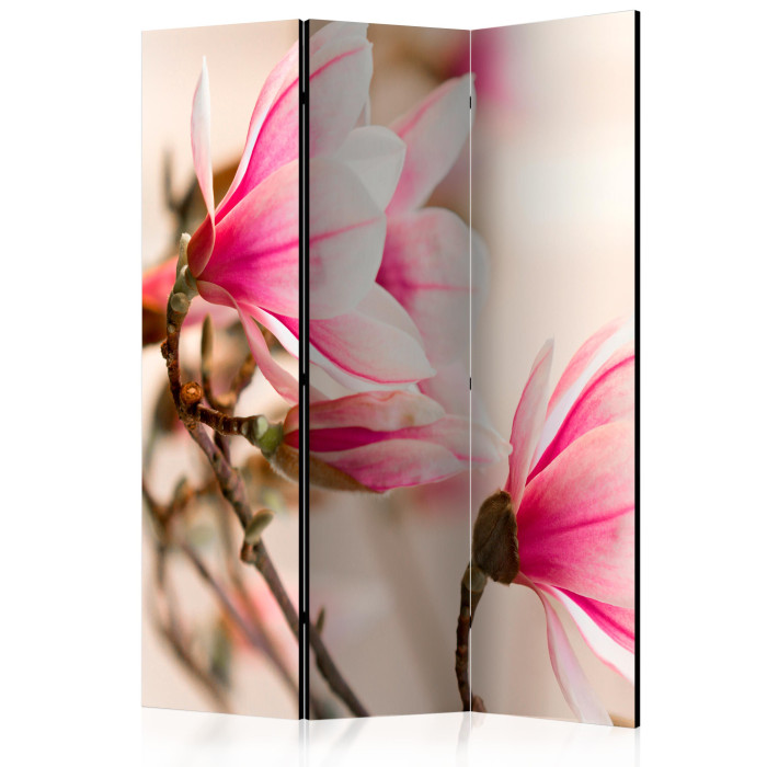 Paris Prix Paravent 3 Volets "Branch Of Magnolia Tree" 135x172cm