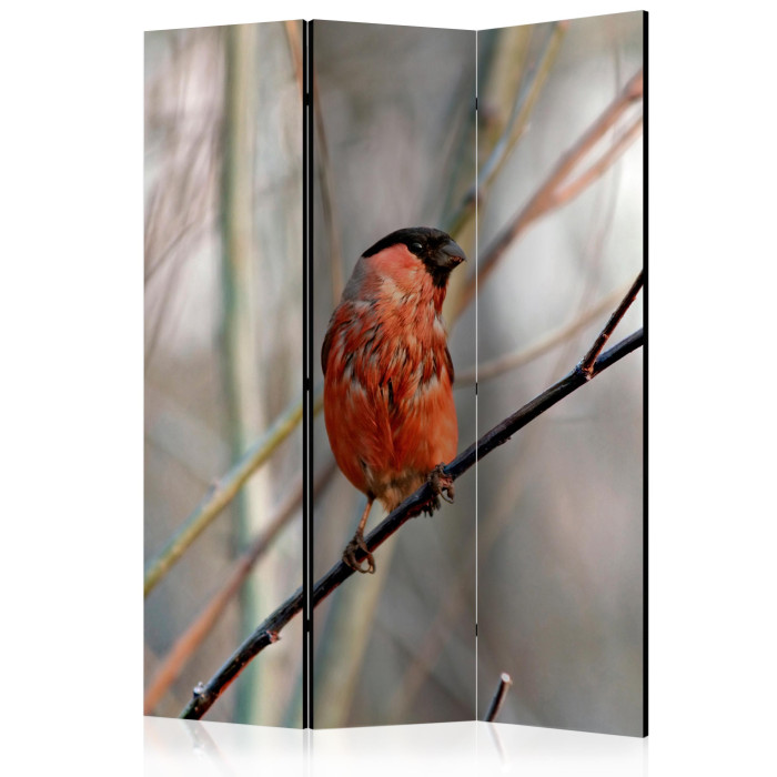 Paris Prix Paravent 3 Volets "Bullfinch In The Forest" 135x172cm