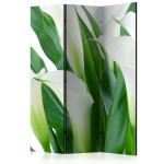paris prix Paravent 3 Volets "Bunch of Flowers Callas" 135x172cm