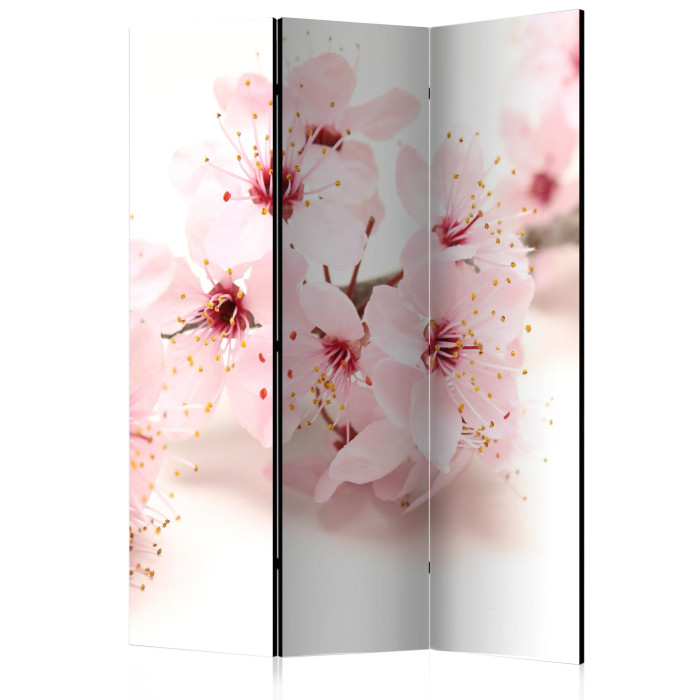Paris Prix Paravent 3 Volets "Cherry Blossom" 135x172cm