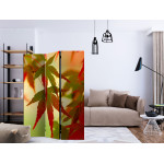 Paris Prix Paravent 3 Volets "Colourful Leaves" 135x172cm