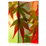 paris prix Paravent 3 Volets "Colourful Leaves" 135x172cm