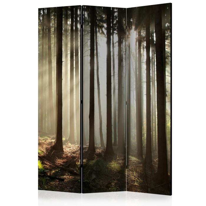 Paris Prix Paravent 3 Volets "Coniferous Forest" 135x172cm