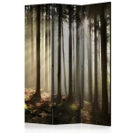 paris prix Paravent 3 Volets "Coniferous Forest" 135x172cm