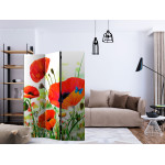 Paris Prix Paravent 3 Volets "Country Poppies" 135x172cm