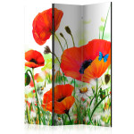 paris prix Paravent 3 Volets "Country Poppies" 135x172cm