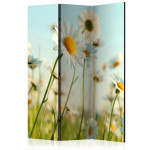 paris prix Paravent 3 Volets "Daisies Spring Meadow" 135x172cm