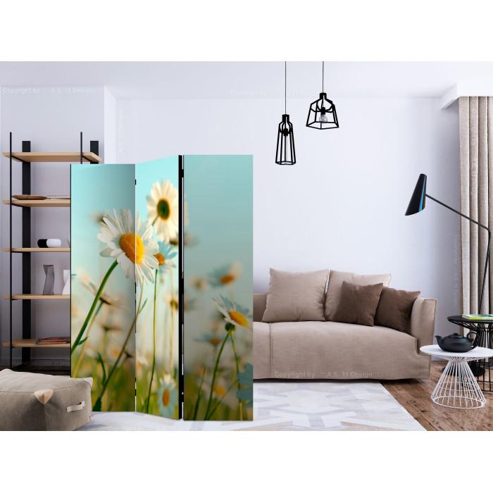 Paris Prix Paravent 3 Volets "Daisies Spring Meadow II" 135x172cm