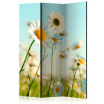 paris prix Paravent 3 Volets "Daisies Spring Meadow II" 135x172cm