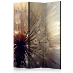 paris prix Paravent 3 Volets "Dandelion Kiss" 135x172cm