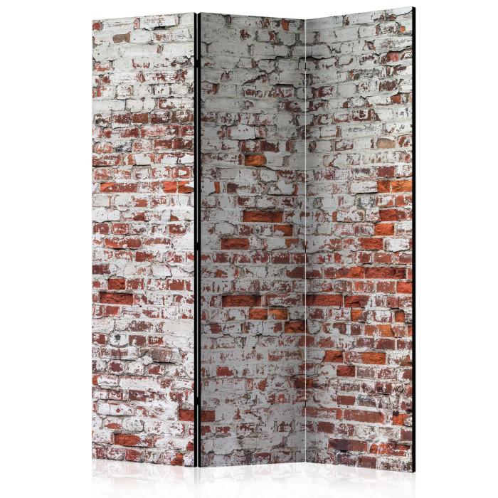 Paris Prix Paravent 3 Volets "Écho Des Jours Passés" 135x172cm