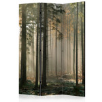 paris prix Paravent 3 Volets "Foggy November Morning" 135x172cm