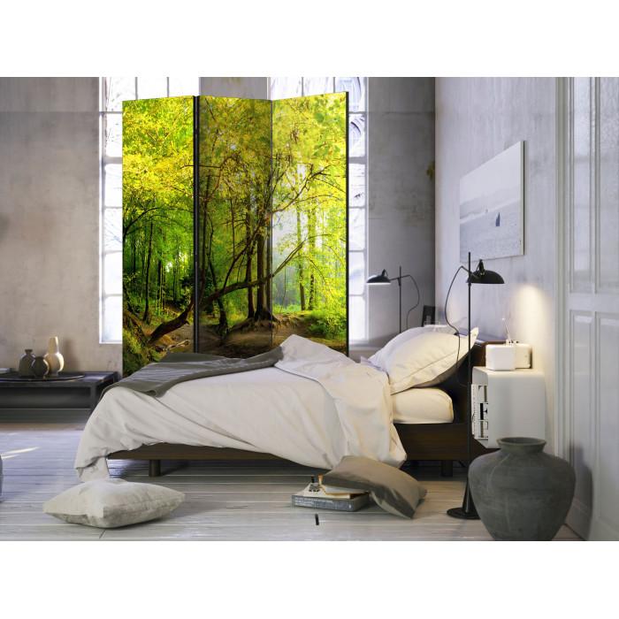 Paris Prix Paravent 3 Volets "Forest Clearing" 135x172cm