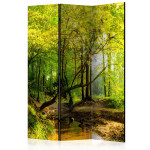 paris prix Paravent 3 Volets "Forest Clearing" 135x172cm