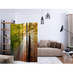 Paris Prix Paravent 3 Volets "Forest Colours" 135x172cm