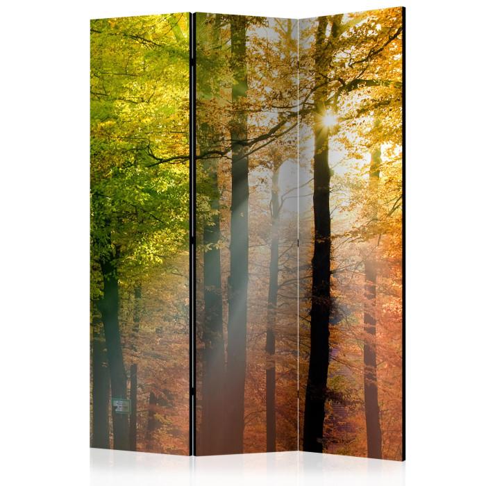 Paris Prix Paravent 3 Volets "Forest Colours" 135x172cm