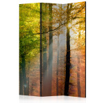 paris prix Paravent 3 Volets "Forest Colours" 135x172cm