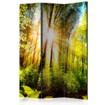 paris prix Paravent 3 Volets "Forest Hideout" 135x172cm