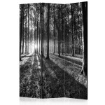 paris prix Paravent 3 Volets "Grey Wilderness" 135x172cm