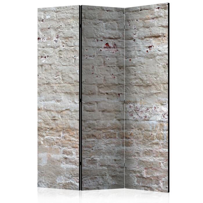 Paris Prix Paravent 3 Volets "Hidden Harmony" 135x172cm
