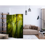 Paris Prix Paravent 3 Volets "In A Secret Forest II" 135x172cm