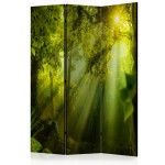 paris prix Paravent 3 Volets "In a Secret Forest II" 135x172cm