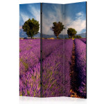 paris prix Paravent 3 Volets "Lavender Field in Provence France" 135x172cm