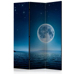 paris prix Paravent 3 Volets "Moonlit Night" 135x172cm