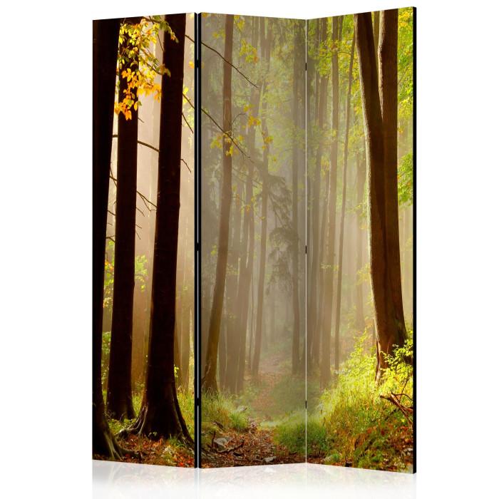 Paris Prix Paravent 3 Volets "Mysterious Forest Path" 135x172cm