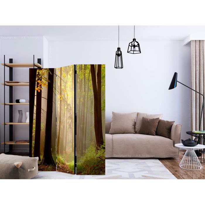 Paris Prix Paravent 3 Volets "Mysterious Forest Path" 135x172cm