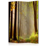 paris prix Paravent 3 Volets "Mysterious Forest Path" 135x172cm