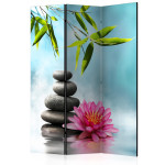 paris prix Paravent 3 Volets "Water Lily & Zen Stones" 135x172cm