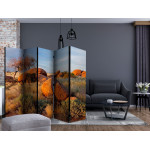 Paris Prix Paravent 5 Volets "African Landscape Namibia" 172x225cm