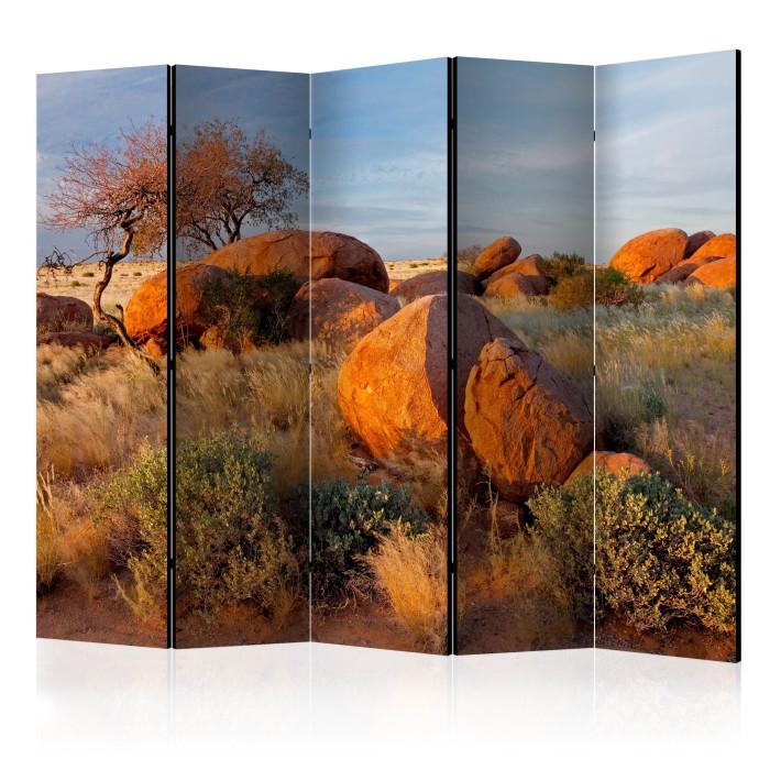 Paris Prix Paravent 5 Volets "African Landscape Namibia" 172x225cm
