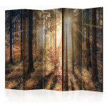 paris prix Paravent 5 Volets "Autumnal Forest II" 172x225cm