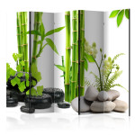 paris prix Paravent 5 Volets "Bamboos & Stones" 172x225cm