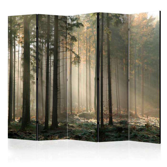 Paris Prix Paravent 5 Volets "Foggy November Morning" 172x225cm