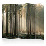 paris prix Paravent 5 Volets "Foggy November Morning" 172x225cm