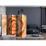 Paris Prix Paravent 5 Volets "Peach Colored Rose" 172x225cm