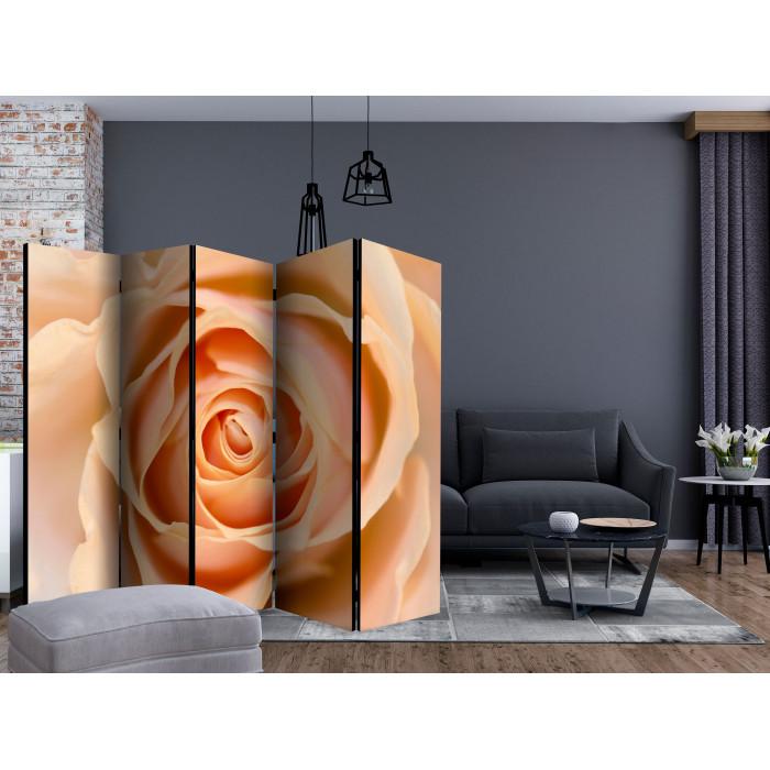 Paris Prix Paravent 5 Volets "Peach Colored Rose" 172x225cm