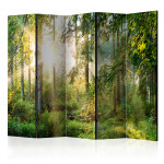 paris prix Paravent 5 Volets "Untamed Nature" 172x225cm