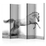 paris prix Paravent 5 Volets "White Gallop" 172x225cm