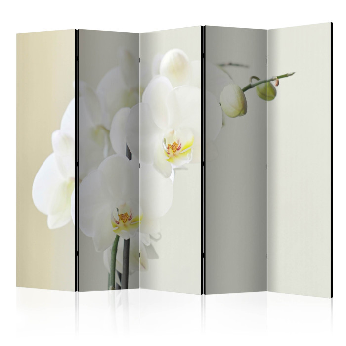 Paris Prix Paravent 5 Volets "White Orchid" 172x225cm