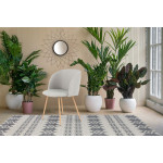 Paris Prix Lot De 2 Chaises Déco "Celina" 84 Cm Gris
