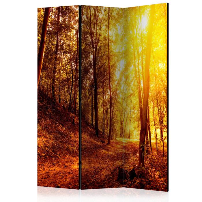 Paris Prix Paravent 3 Volets "Autumn Walk" 135x172cm