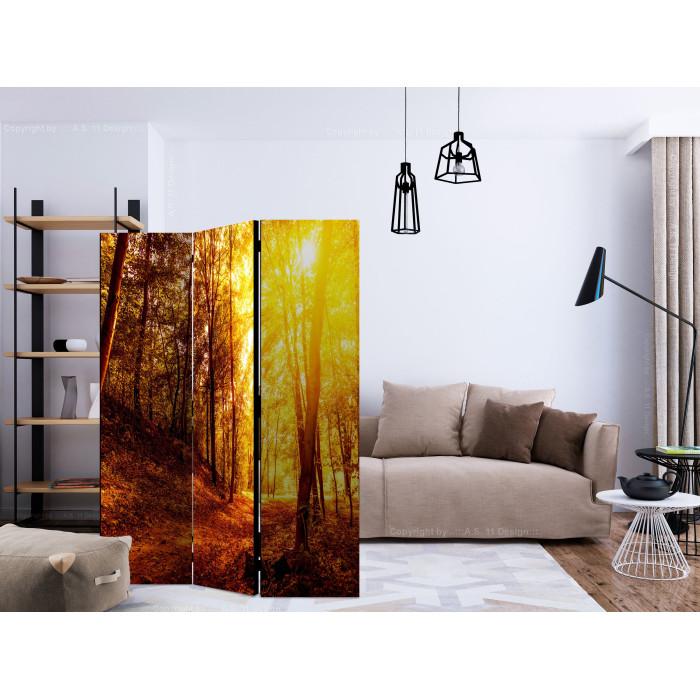 Paris Prix Paravent 3 Volets "Autumn Walk" 135x172cm